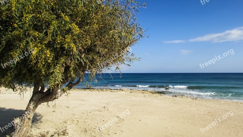 Cyprus Ayia Napa Makronissos Beach Tree Sky