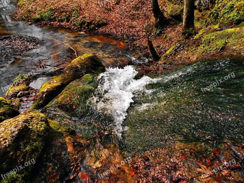 Stream Valley Będkowska Valleys Near Cracow Water The Brook