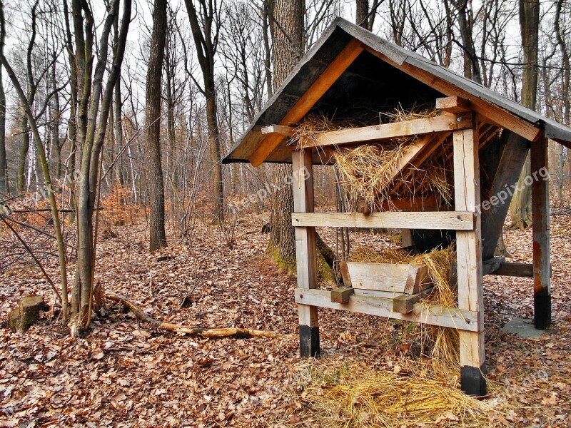 Pasture Forest Feeding Hay Shed