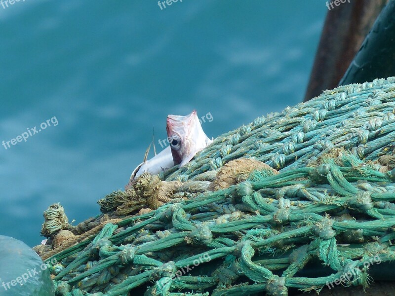 Fish Net Fishing Trawler Free Photos