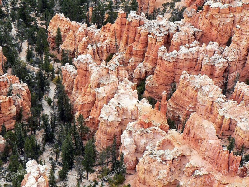 Usa Bryce Canyon Woodos Landscape Tourist Site