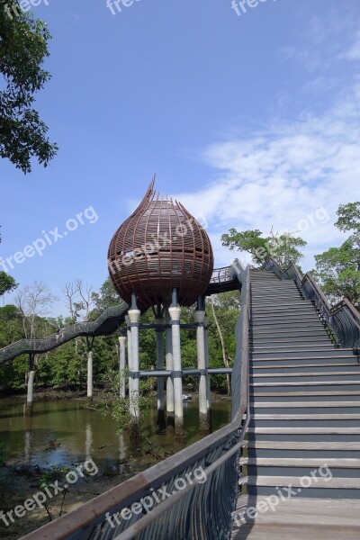 Singapore Sungeibuloh Park Bridge Free Photos