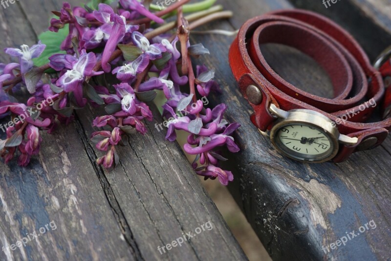 Vintage Red Watch Watches Purple