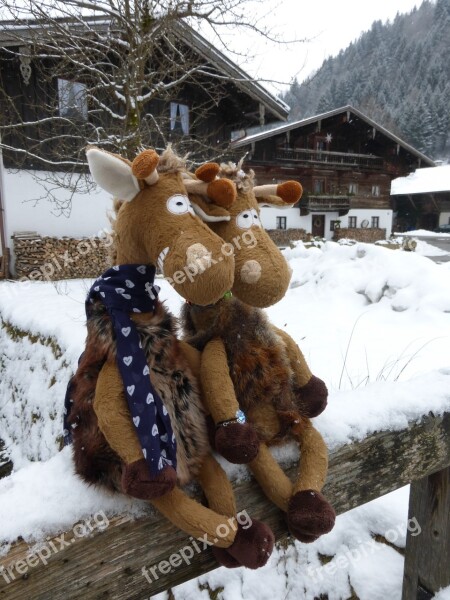 Chiemgau Bavaria Plush Giraffe Germany