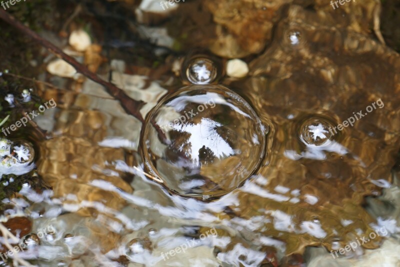 Nature Forest Bach Water Water Bladder