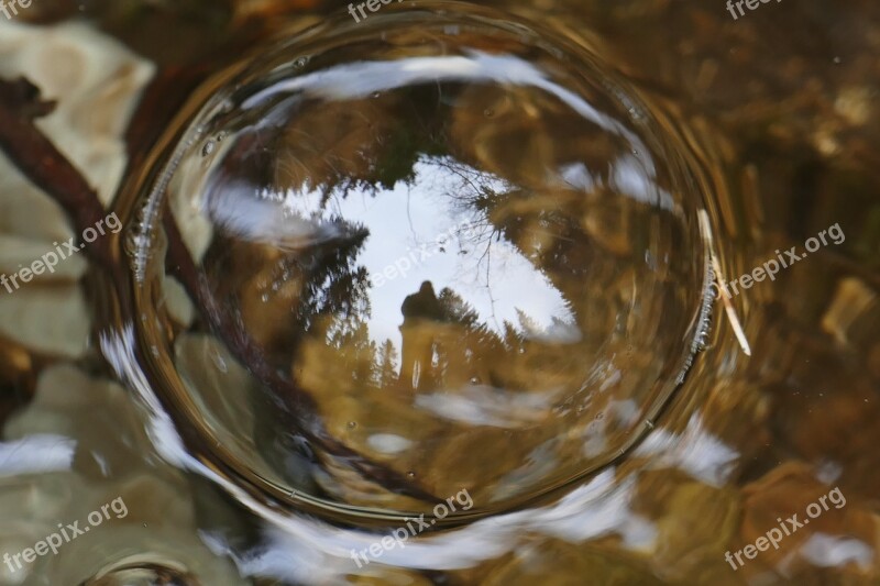 Nature Forest Bach Water Water Bladder