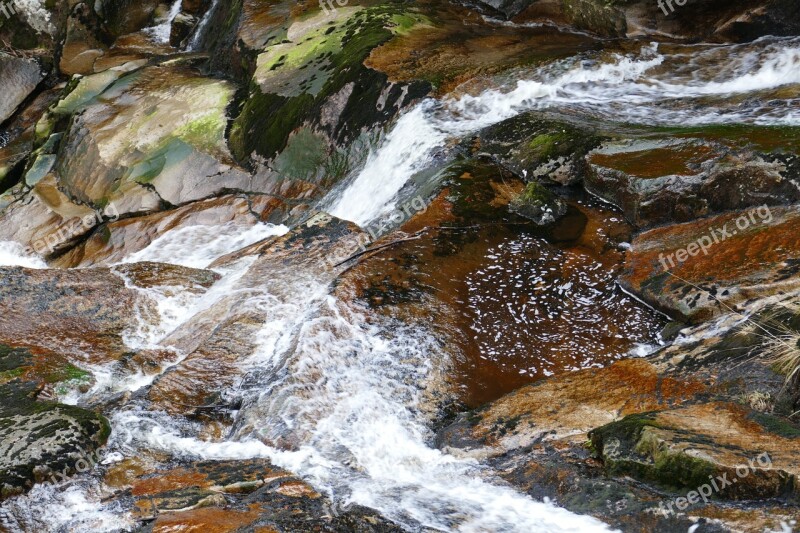 Nature Forest Creek Water Landscape