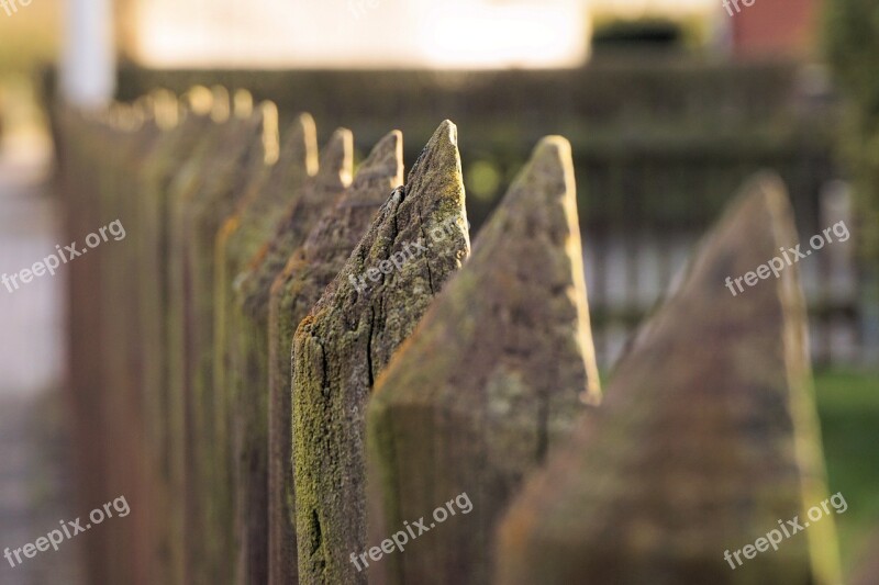 Fence Wood Wood Fence Battens Pile