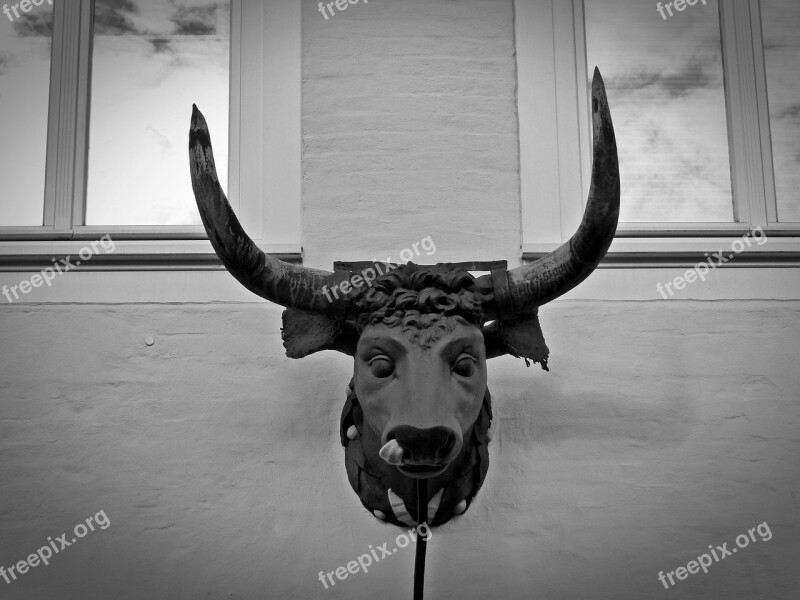 Bull Bull Head Bust Deco Metal