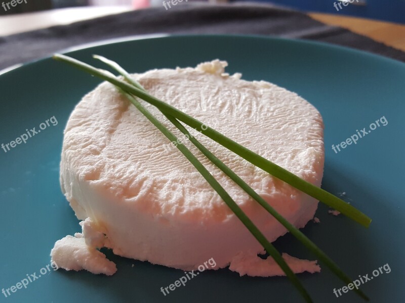 Goat Cheese Chive Blue Plate Free Photos