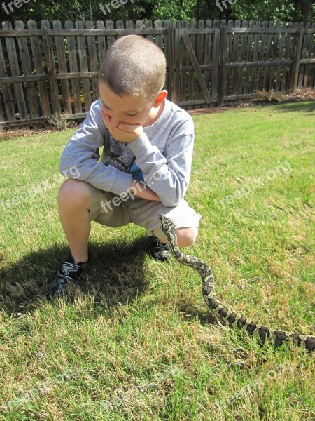 Boy Boa Child Male Caucasian