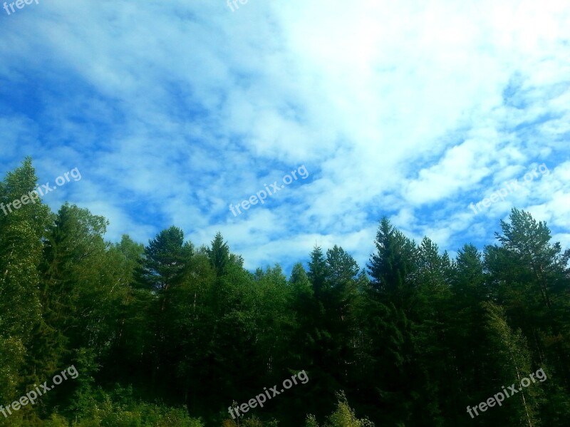 Green Blue Summer Blue Sky Landscape