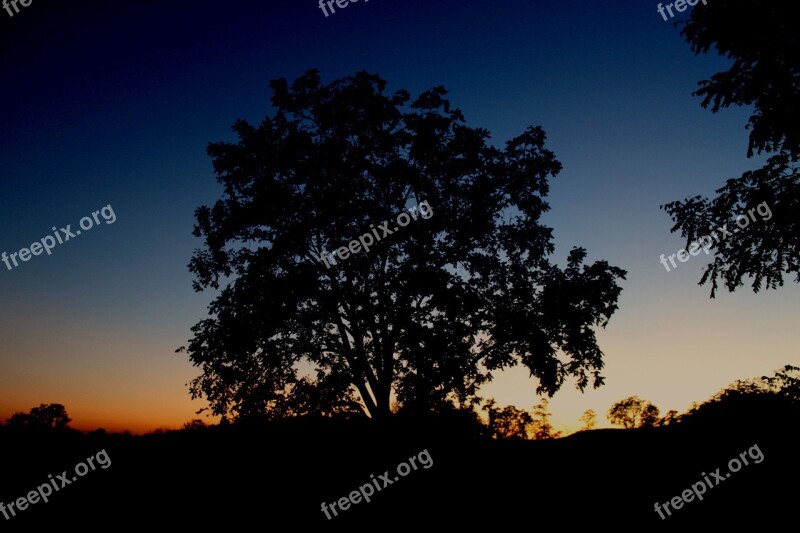 Silhouette Tree Sunset Tree Silhouette Sky