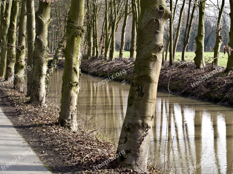 Water Canal Trees Channel Nature