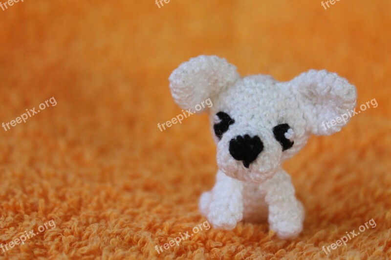 Craft Dog Pet White Orange