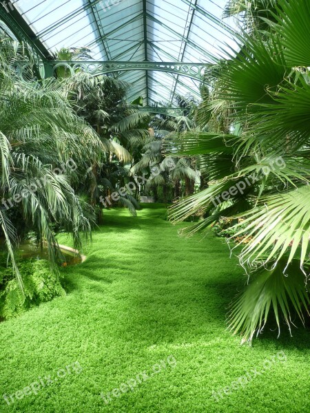 Plant Jungle Tropics Wilhelma Stuttgart