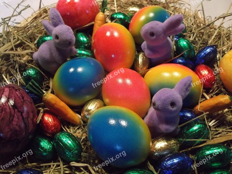 Easter Nest Easter Decoration Free Photos