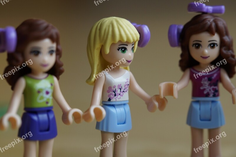 Children Girl Lego Lego Friends Girlfriends