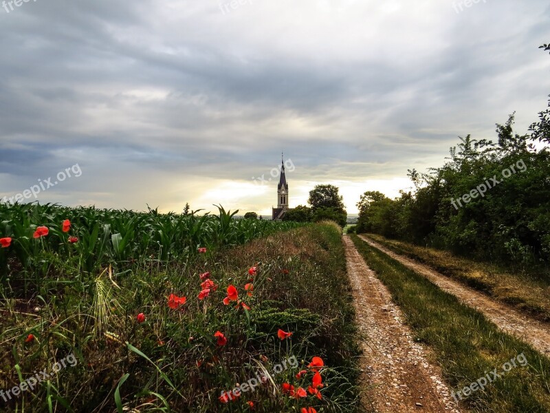 Poppies Flowers Field Church Away