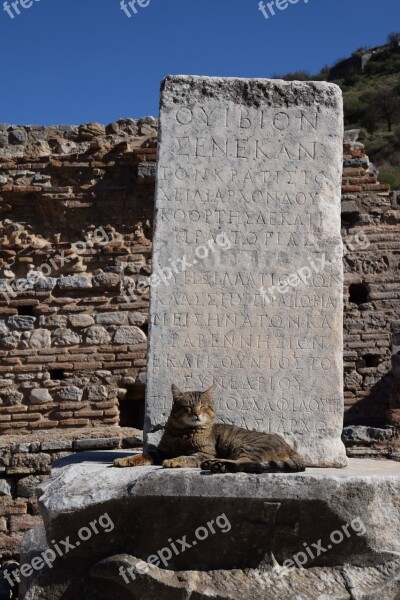 Ephesus Protection Code Secret Archaeology