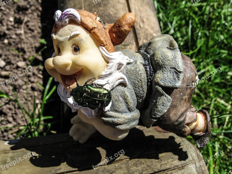 Garden Garden Gnome Beetle Figure Free Photos