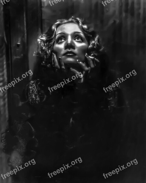 Marlene Dietrtrich Female Portrait Singer Hollywood