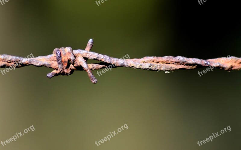 Barbed Wire Node Rust Free Photos