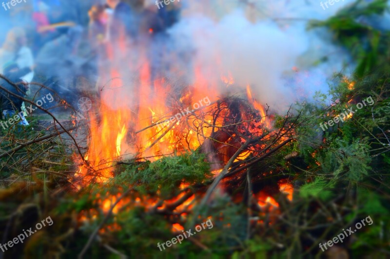 Easter Fire Branches Leaves Fire Green