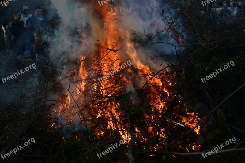 Easter Fire Branches Leaves Fire Green