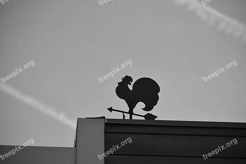 Wind Weather Vane Wind Indicator Sky North