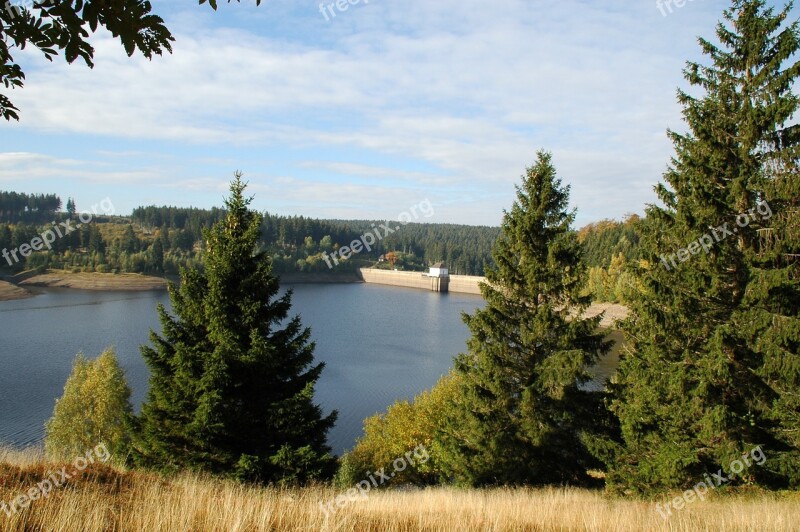 Ecker Dam Bad Harzburg Resin Autumn Forest