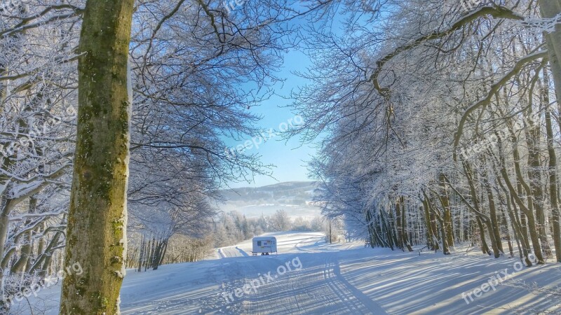 Winter Snow Forest Sun Rhön