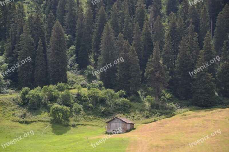 Hut Alpine Firs Trees Mountain