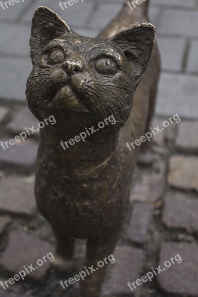 Bronze Cat Statue Sculpture Animal