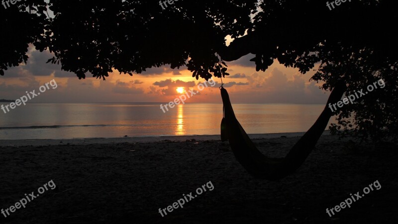 Beach Sunset Hammock Tropical Sky Tree