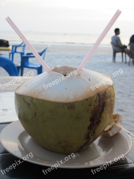 Coconut Beach Malaysia Langkawi Free Photos