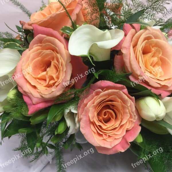 Wedding Flowers Bride Bridal Roses Free Photos