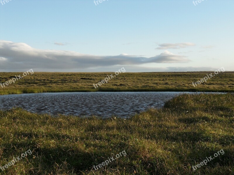 Iceland Lake Grass Unaffected Highlands