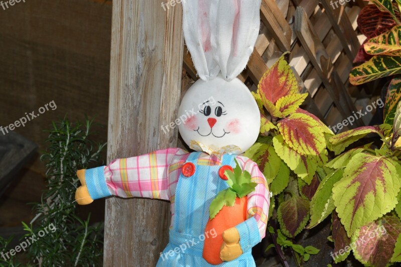 Rabbit Bunny Hare Easter Animal