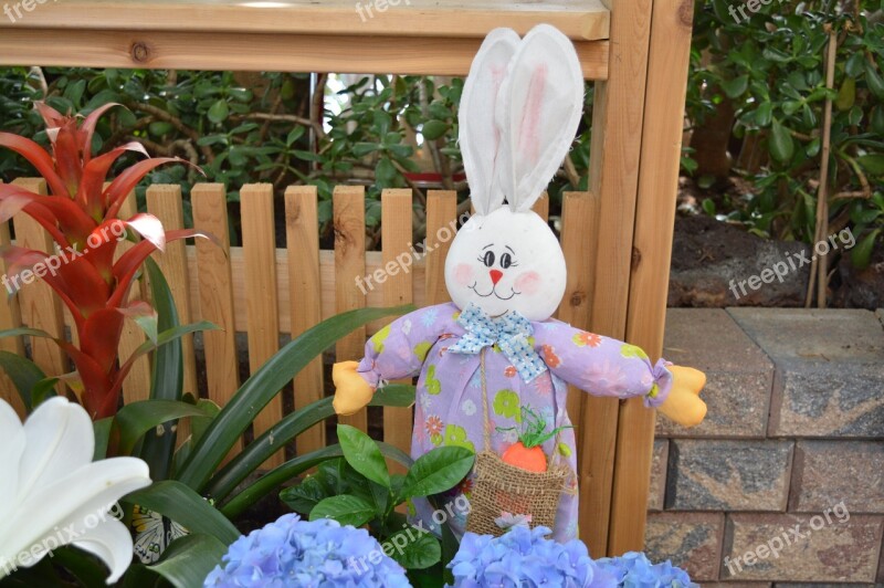 Rabbit Bunny Hare Easter Animal