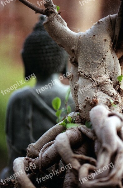 Buddha Meditation Statue Religion Spiritual