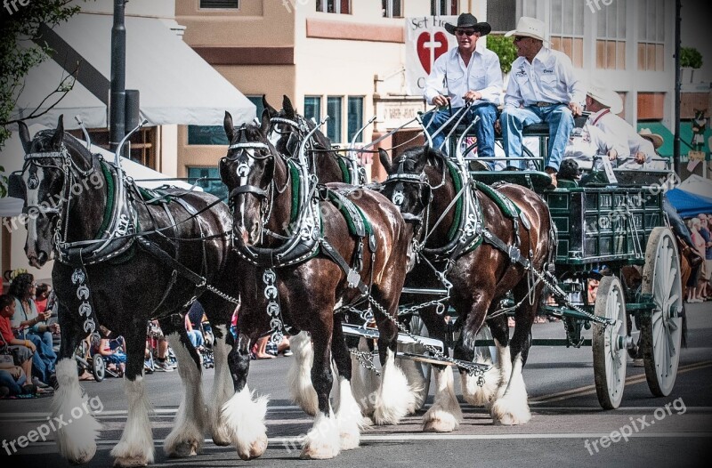 Fourth Of July Independence Day Parade Prescott Arizona