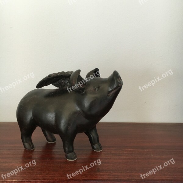 Flying Pig Pig Hog Free Photos