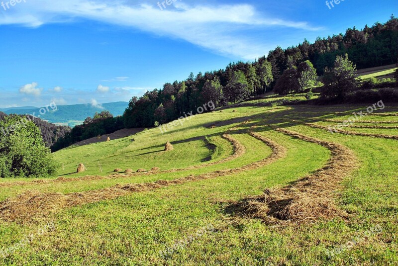 Landscape Beskids Island Beskids Fields Forest