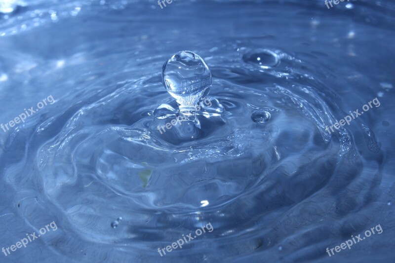 Water Drop Single Life Free Photos