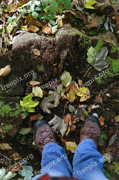 Forest Legs Nature Person Lifestyle