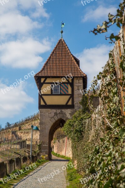 Vineyard Tower Middle Ages Esslingen Free Photos