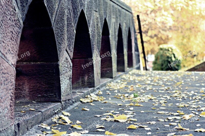 Bridge Autumn Leaves Forest Trueb