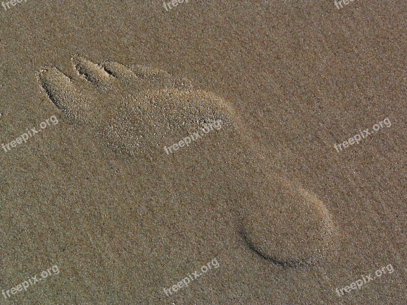 Footprint In The Sand Traces Sand Beach Imprint