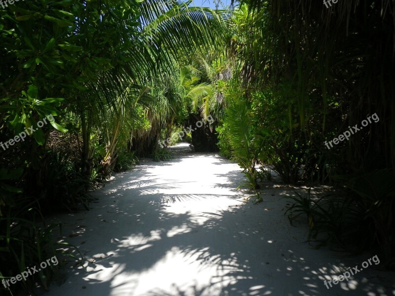 Sand Away Jungle Shadow Maldives